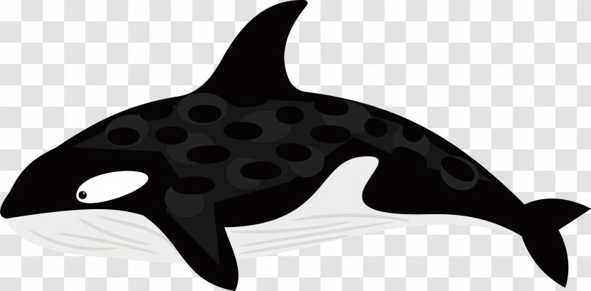 Dolphin Black And White Whale - Beluga - Vector Transparent PNG