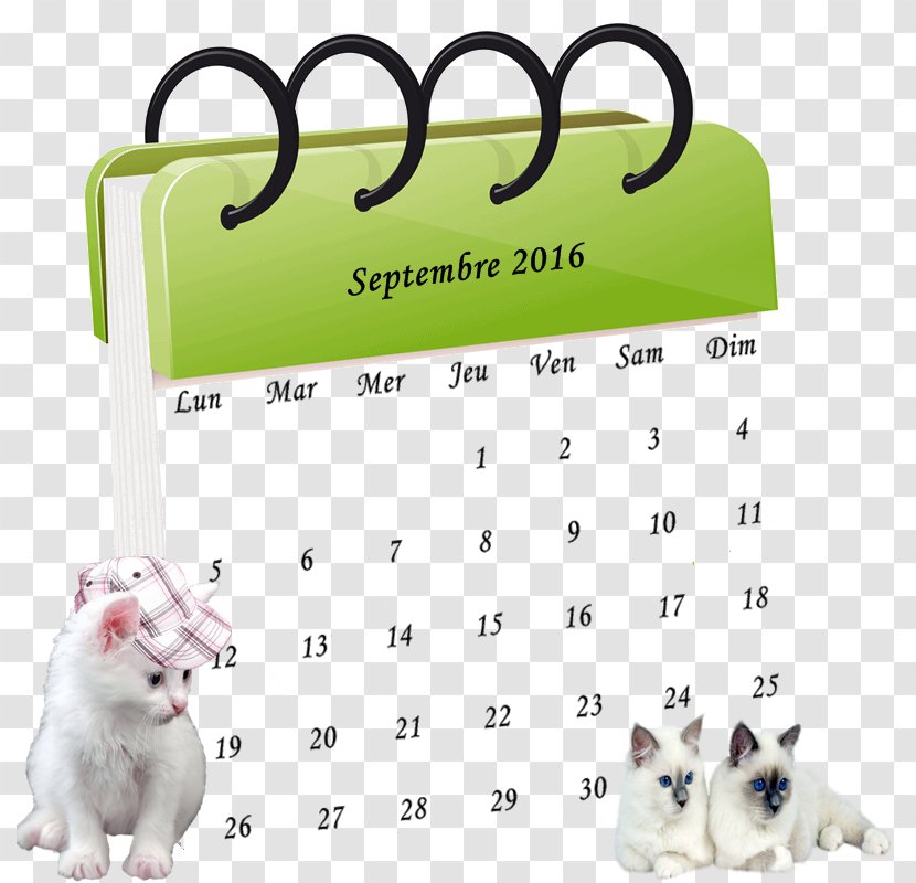 Calendar Date Conférence-Atelier Time Diary - Dog Breed - Mask Photofiltre Transparent PNG