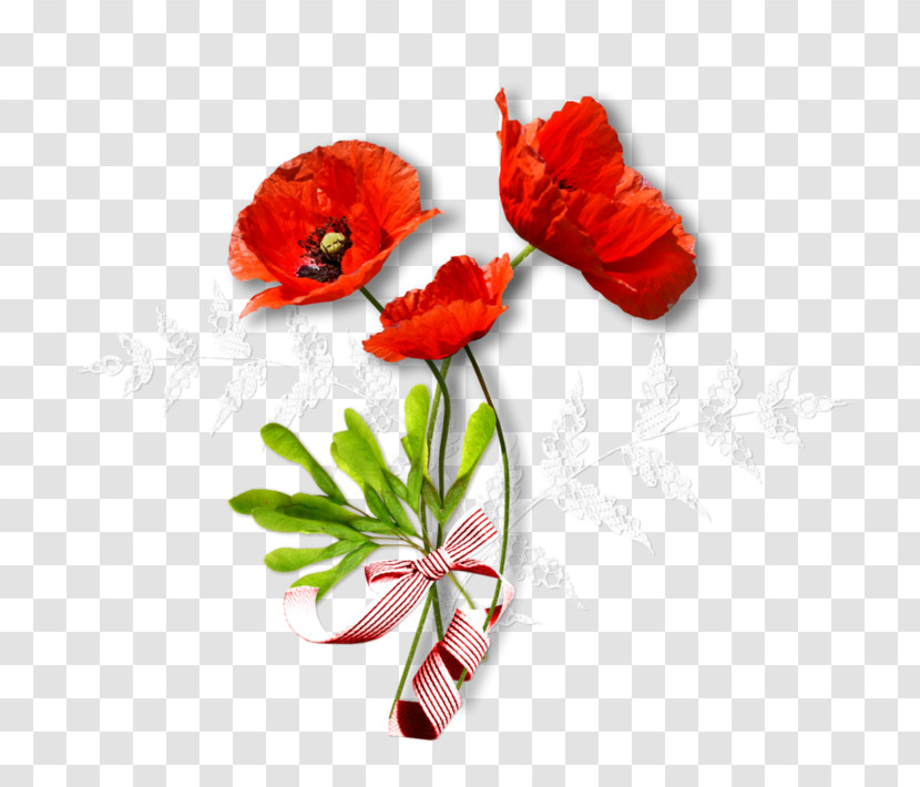 Flower Red Coquelicot Plant Corn Poppy Transparent PNG