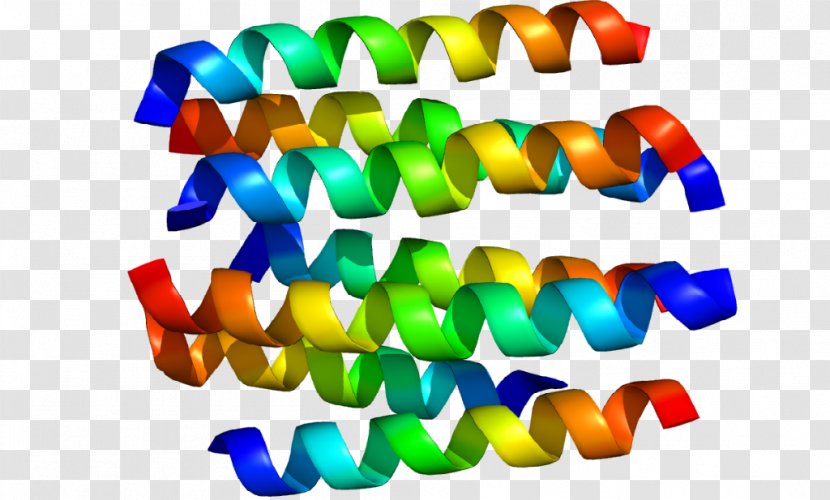 Dopamine Receptor D2 Protein - Plastic Transparent PNG
