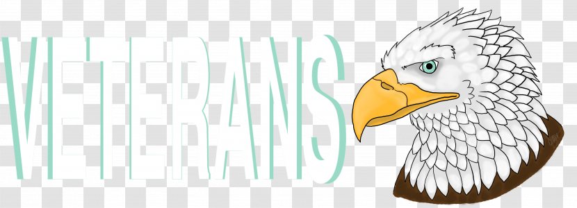 Eagle Beak Bird Wing Transparent PNG