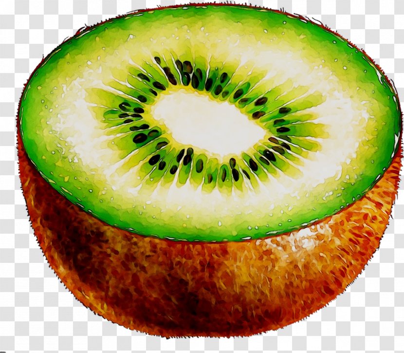 Kiwifruit - Plant - Muskmelon Transparent PNG
