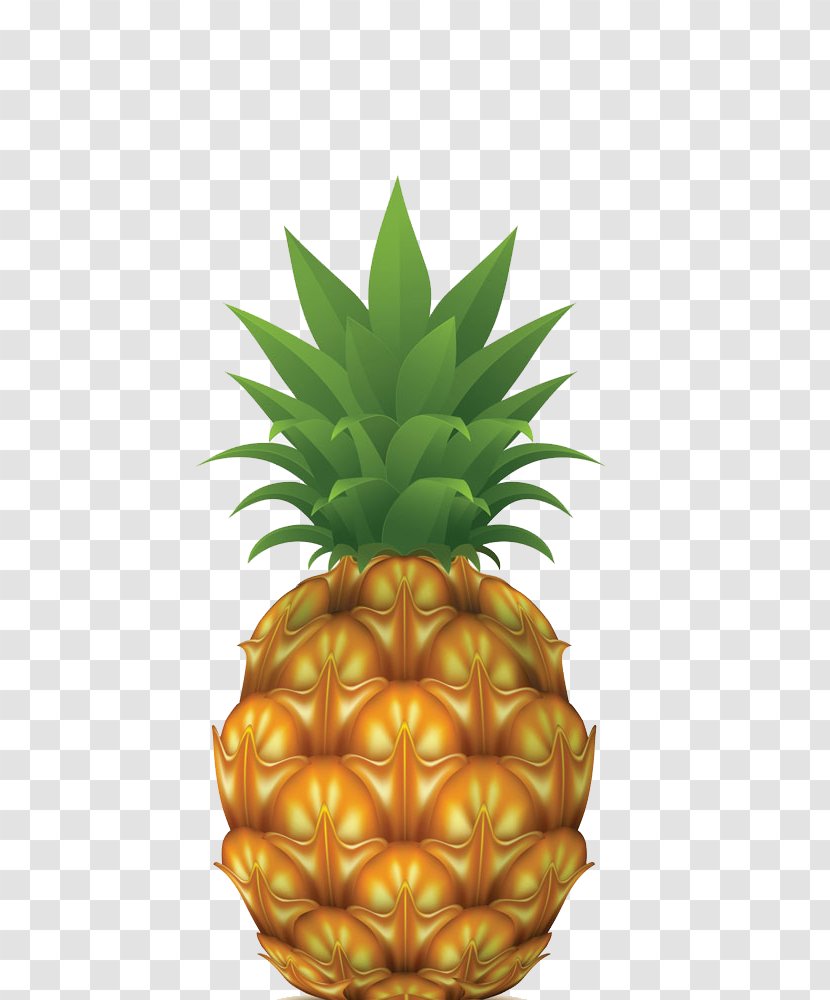 Pineapple Drawing Stock Photography Illustration - Cdr Transparent PNG