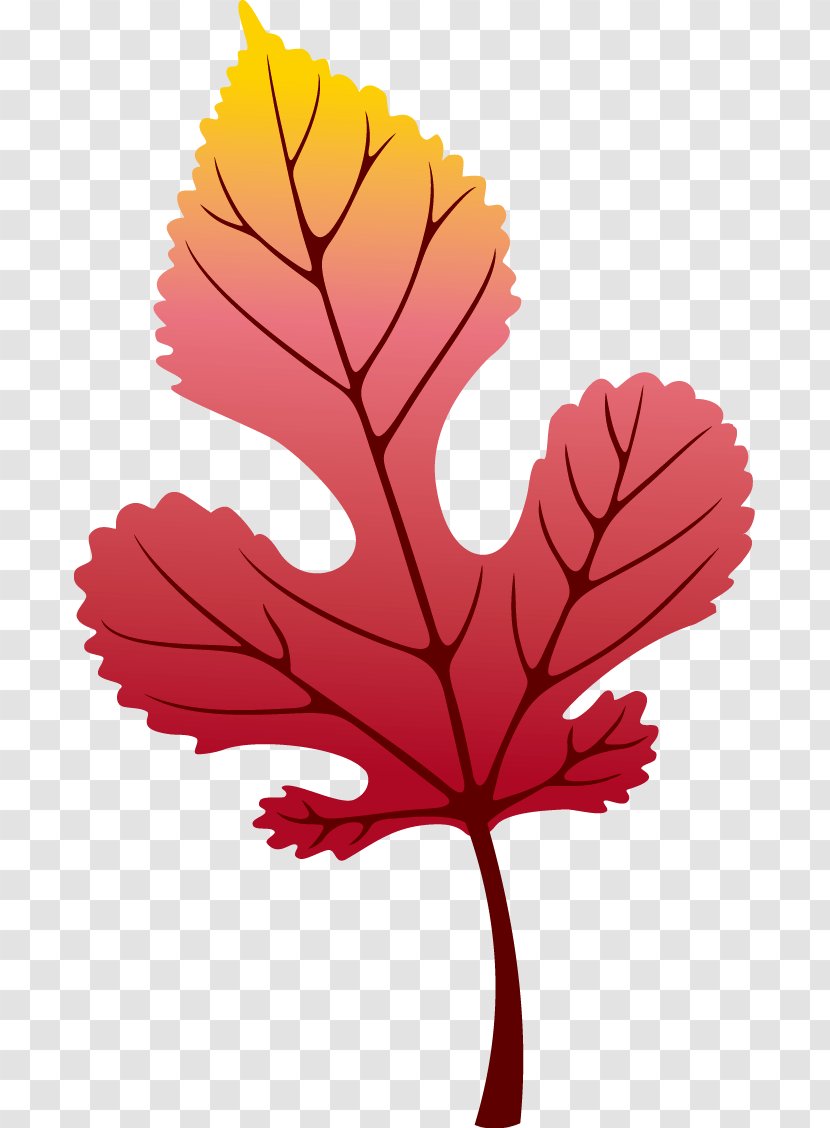 Maple Leaf Autumn - Hand - Leaves Decoration Transparent PNG