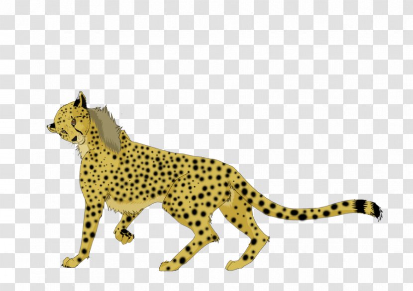 Cheetah Leopard Jungle Cat - Terrestrial Animal Transparent PNG