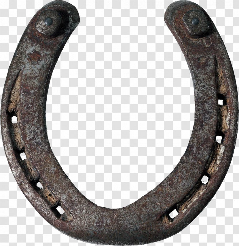 Horseshoes - Stock Photography - Horse Transparent PNG