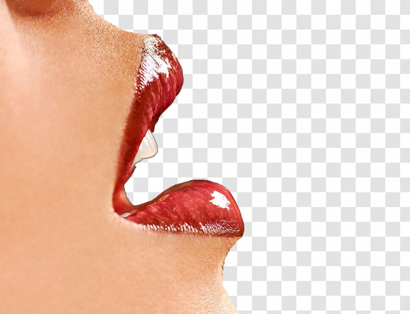 Cleft Lip And Palate U9634u830eu5305u76ae - Watercolor - Flaming Lips Transparent PNG