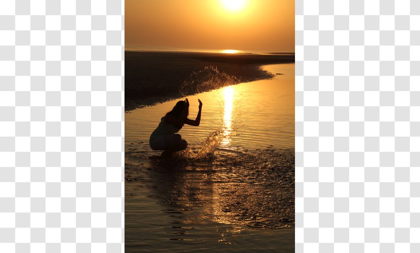 Shore Beach Sunrise Sunset Evening - Silhouette Transparent PNG
