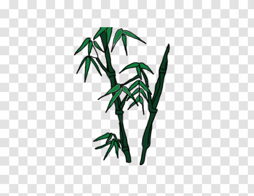 Bamboo Bambusa Oldhamii Download - Plant Transparent PNG