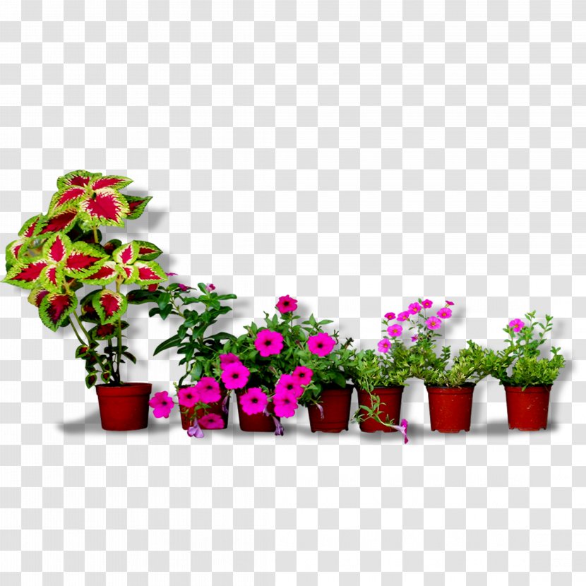 Flowerpot Floral Design Bonsai - Bench - Flower Pots Transparent PNG