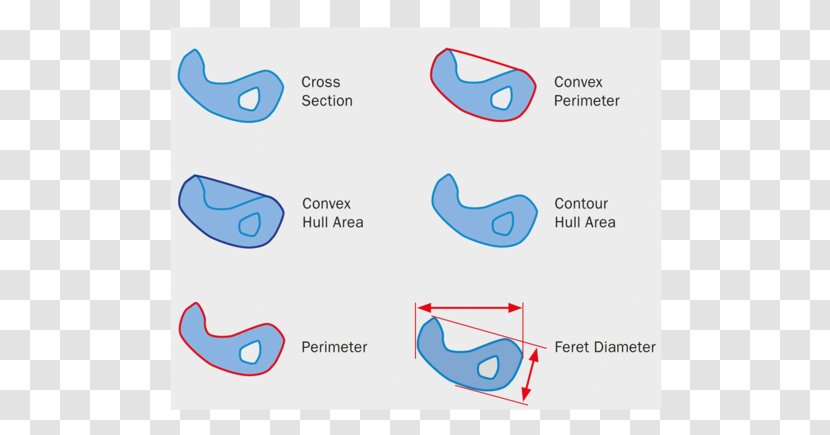 Fritsch Logo Diameter Product Computer Software - Convex Set - Dynamic Particle Transparent PNG