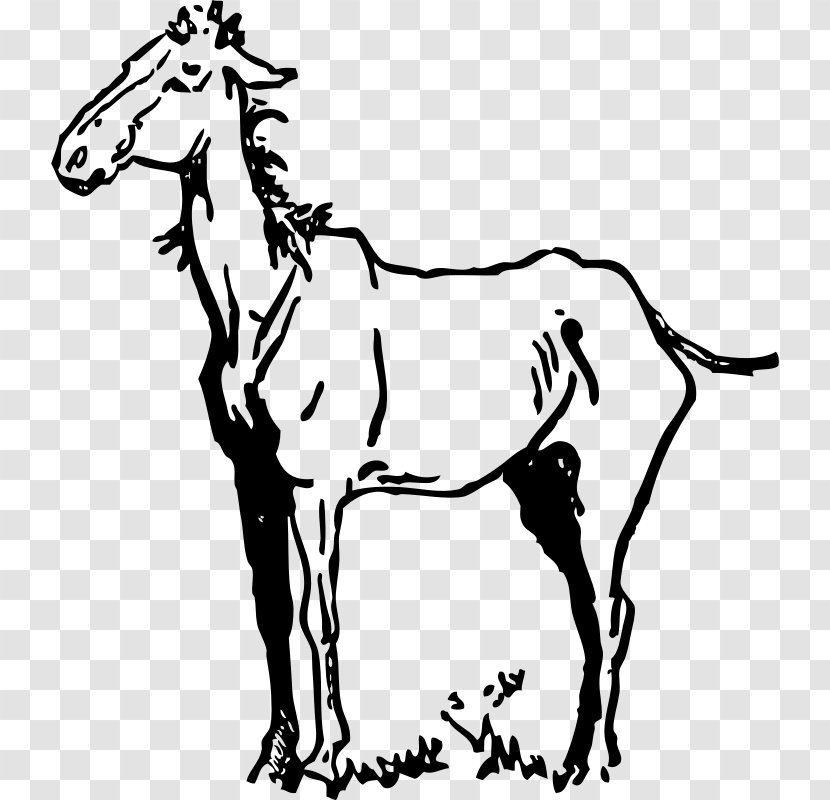 Mustang Clip Art Friesian Horse Openclipart Equestrian Transparent PNG