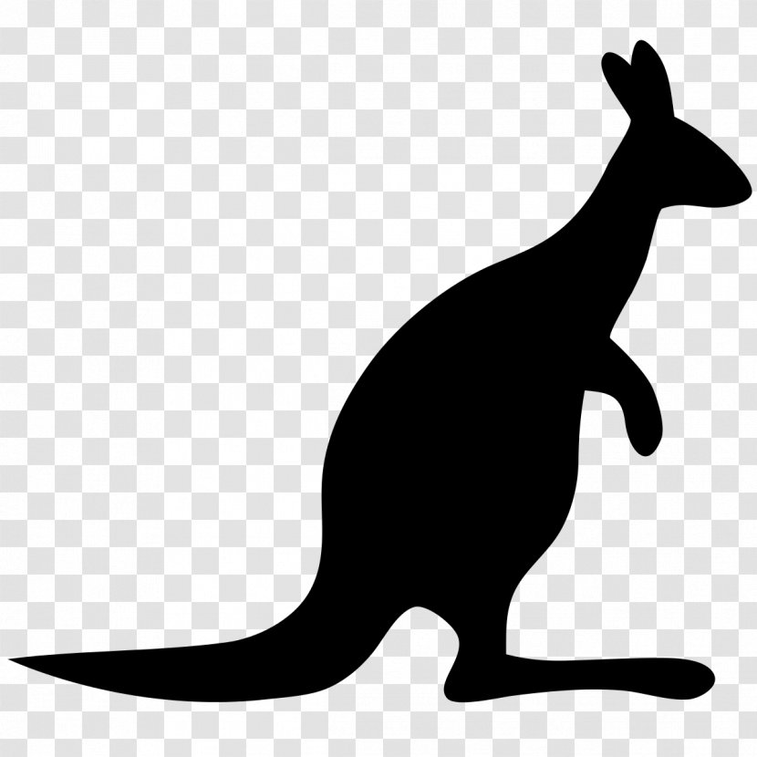 Canberra Germany Kangaroo Macropodidae Animal Transparent PNG