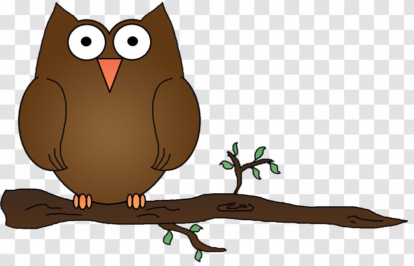 Elf Owl Clip Art - Bird Of Prey Transparent PNG