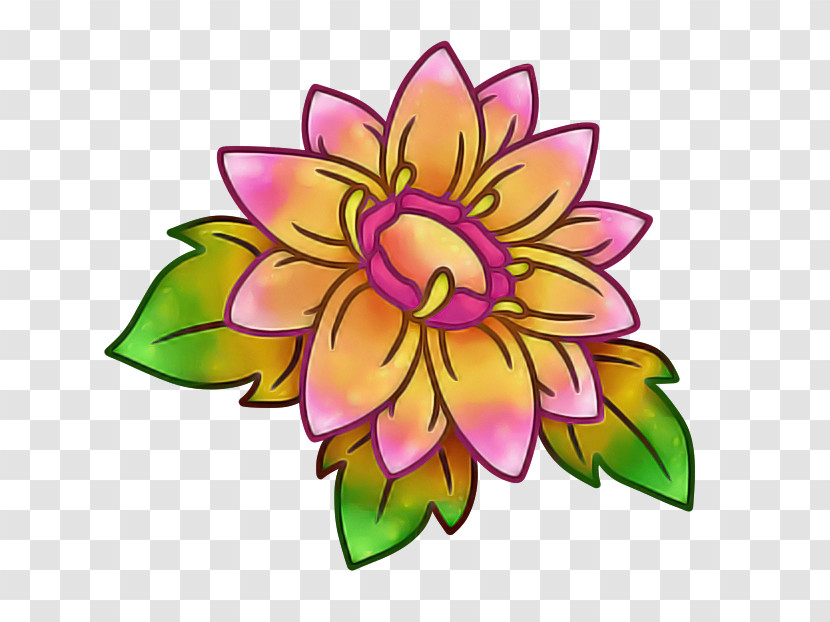 Floral Design Transparent PNG