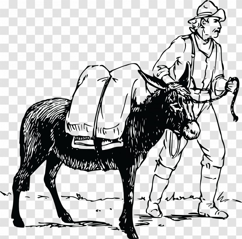 Donkey Mule Male Drawing Clip Art - Human Behavior Transparent PNG