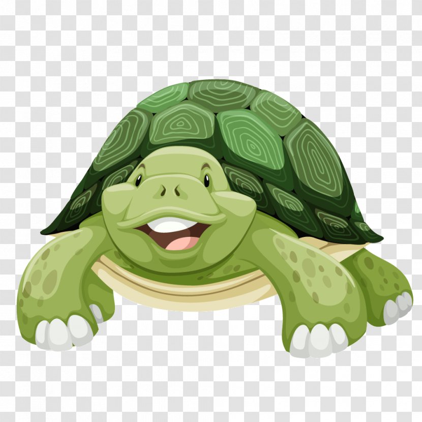 Sea Turtle Clip Art - Stock Photography - Green Cartoon Transparent PNG
