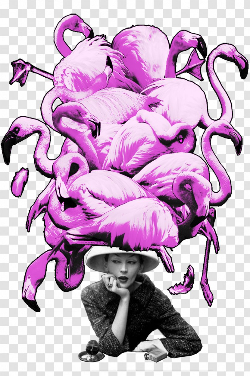 Vertebrate Visual Arts Clip Art - Silhouette - Flamingos Transparent PNG