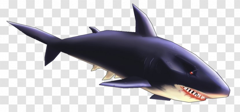 Shark! Download - Shark Transparent PNG