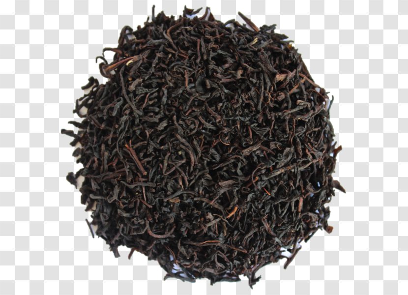 Tea Raisin Dried Fruit Grape Organic Food - Nilgiri - Ceylon Black Transparent PNG