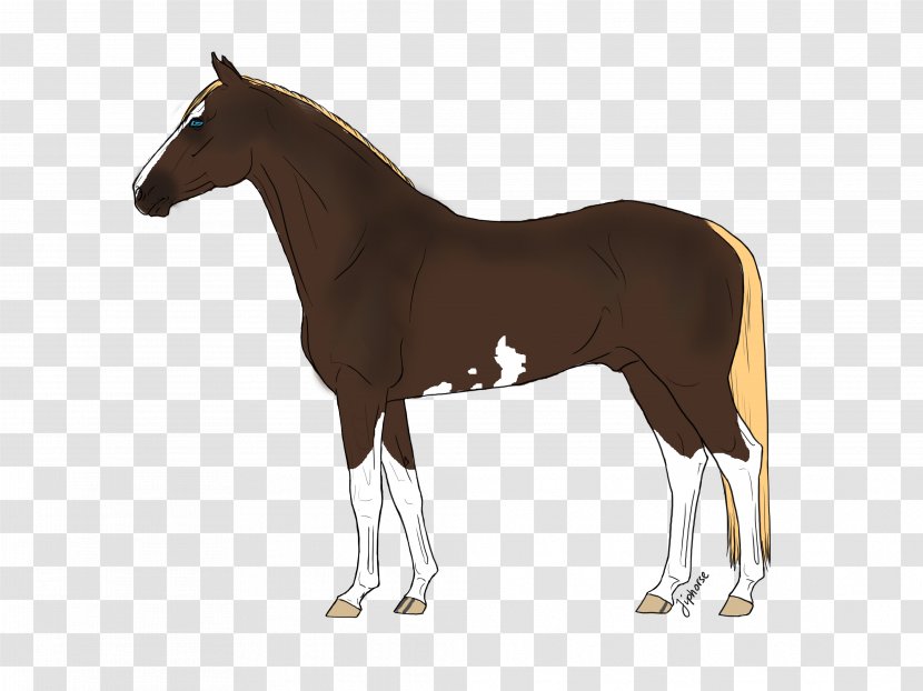 American Quarter Horse Arabian Pony Equestrian Equine Coat Color - Pack Animal - Warmblood Transparent PNG