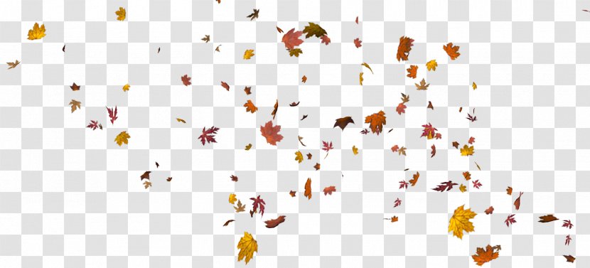 Leaf Autumn Download - Point - Leaves Transparent PNG
