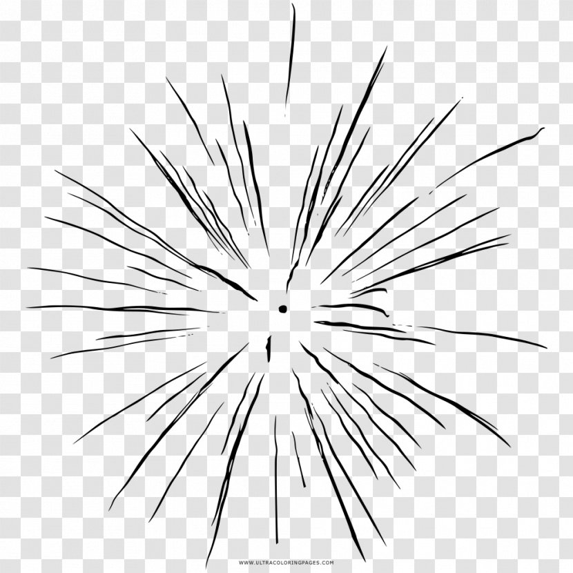 Line Art Drawing Coloring Book Fireworks Black And White Transparent PNG