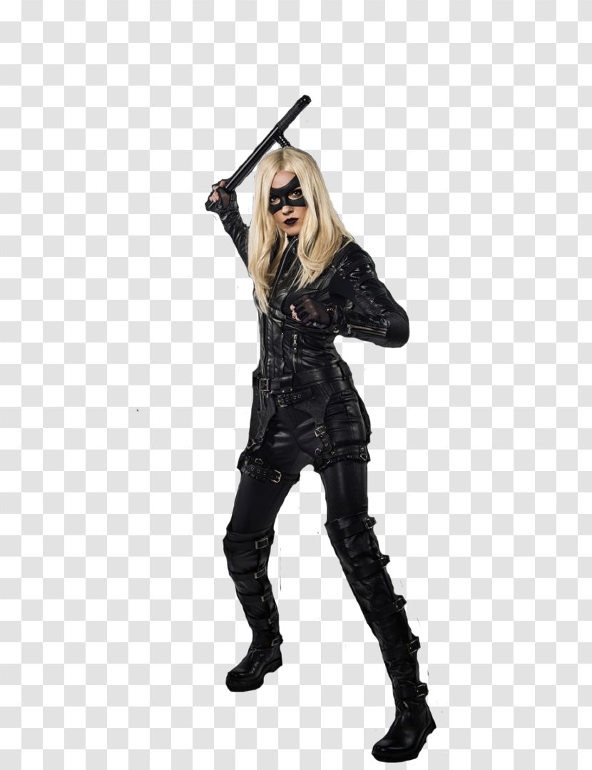 Black Canary Green Arrow Sara Lance Oliver Queen Costume - Tree Transparent PNG