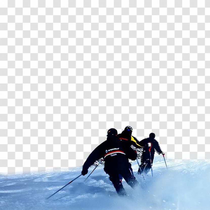 Shennongjia Skiing Ski Pole - Ice Transparent PNG