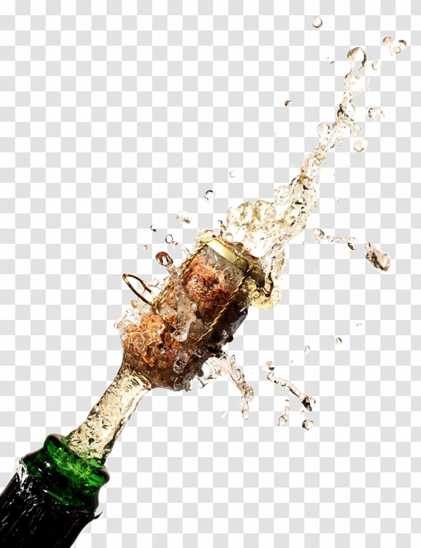 Champagne Glass Sparkling Wine Drink Bottle - Alcoholic - Bartender Transparent PNG