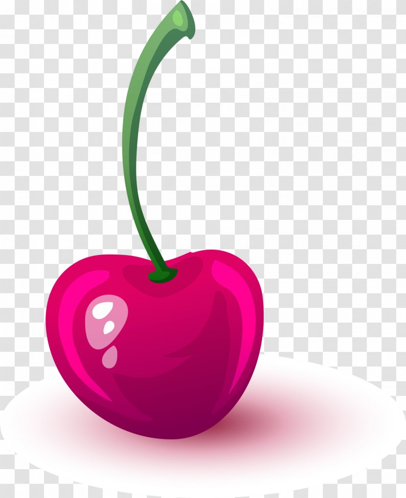 Cherry Purple Cartoon - Magenta Transparent PNG