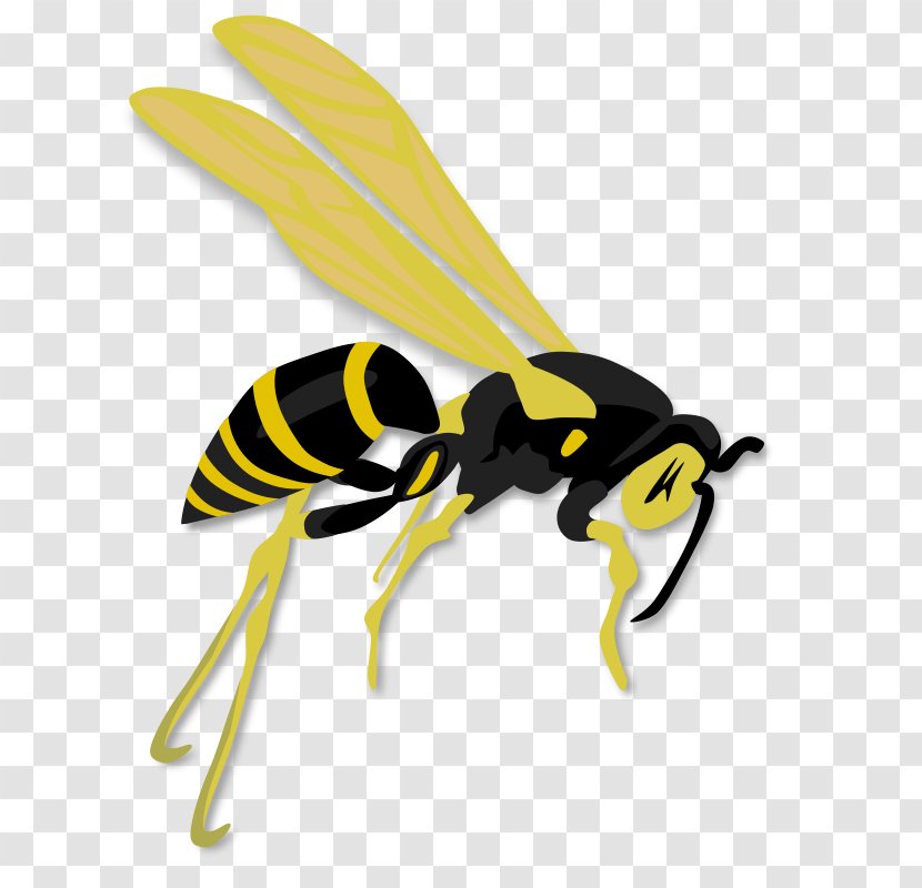 Hornet Bee Wasp Clip Art - Pollinator - Flying Saucer Clipart Transparent PNG