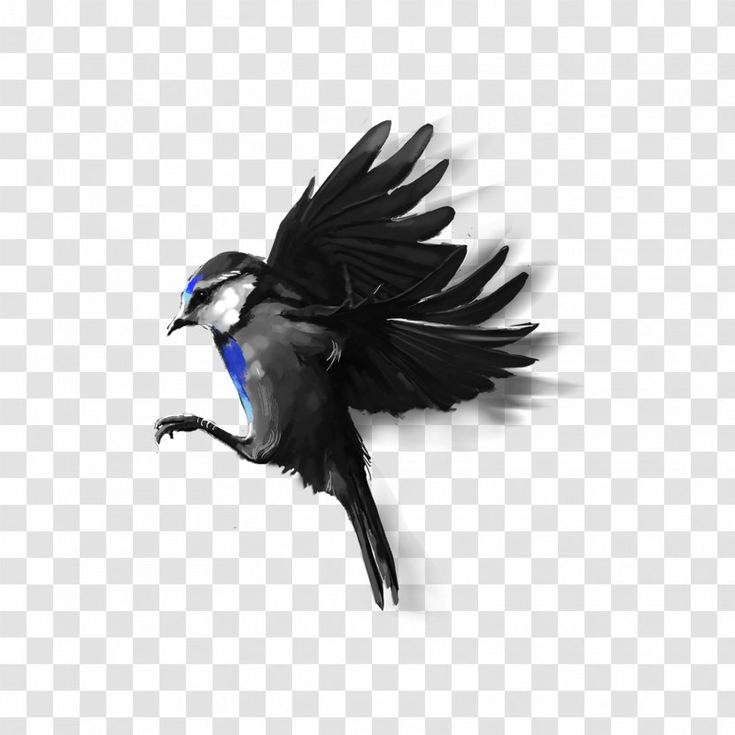 Bird PicsArt Photo Studio Beak Flight - Eagle Transparent PNG