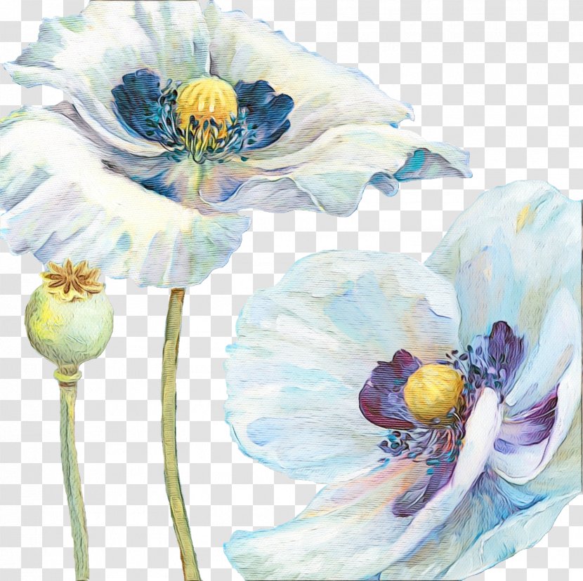 Blue Watercolor Flowers - Flower - Anemone Petal Transparent PNG