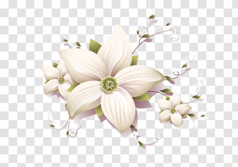 Flower Floral Design - Petal - Flowers Transparent PNG