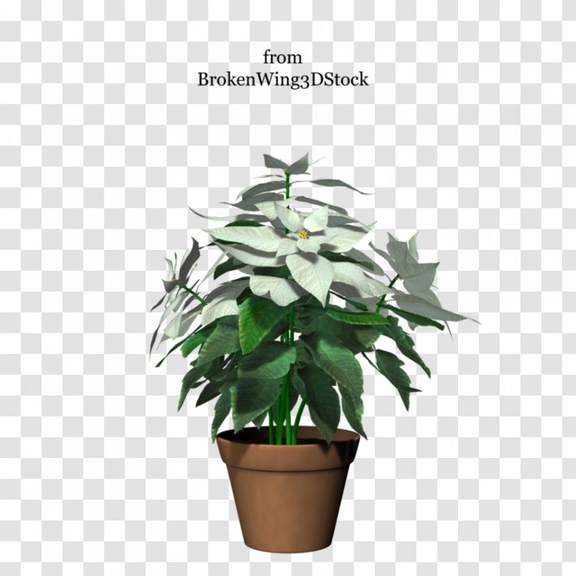 Flowerpot Houseplant Tree - Plant - Potted Transparent PNG