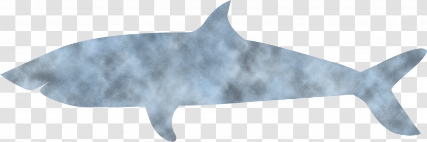 Requiem Sharks Cat Animal Figurine Tail Sharks Transparent PNG