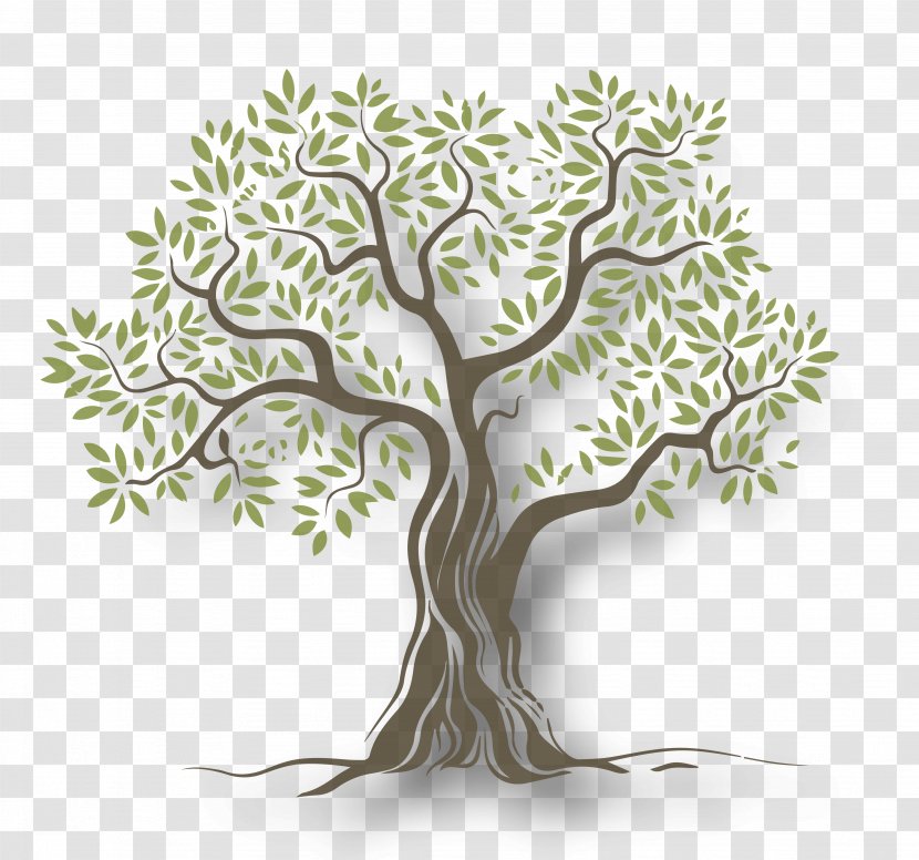 Grounded: Finding God In The World-A Spiritual Revolution Mount Of Olives Religion Olive Oil - Tree Transparent PNG
