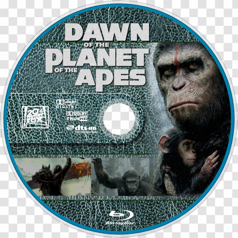 Film Snout Poster Printing Dawn Of The Planet Apes Transparent PNG