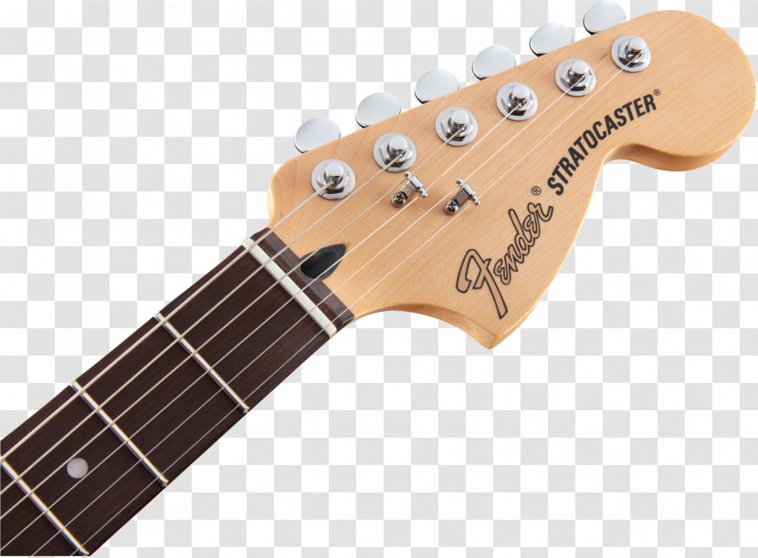 Fender Stratocaster Contemporary Japan Standard Musical Instruments Guitar - Cartoon Transparent PNG