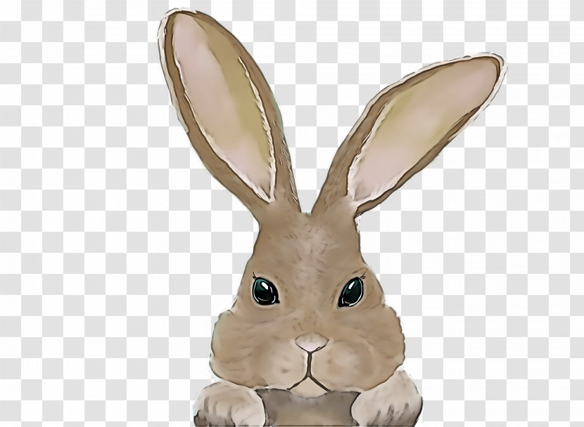 Easter Bunny Transparent PNG