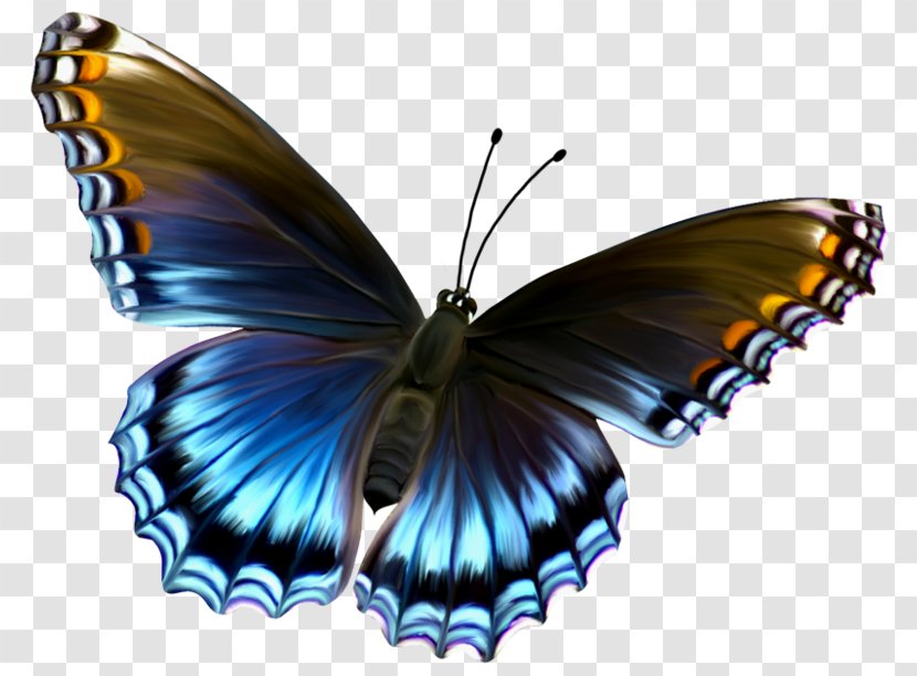 Monarch Butterfly Blue Clip Art - Arthropod - Amazing Transparent PNG