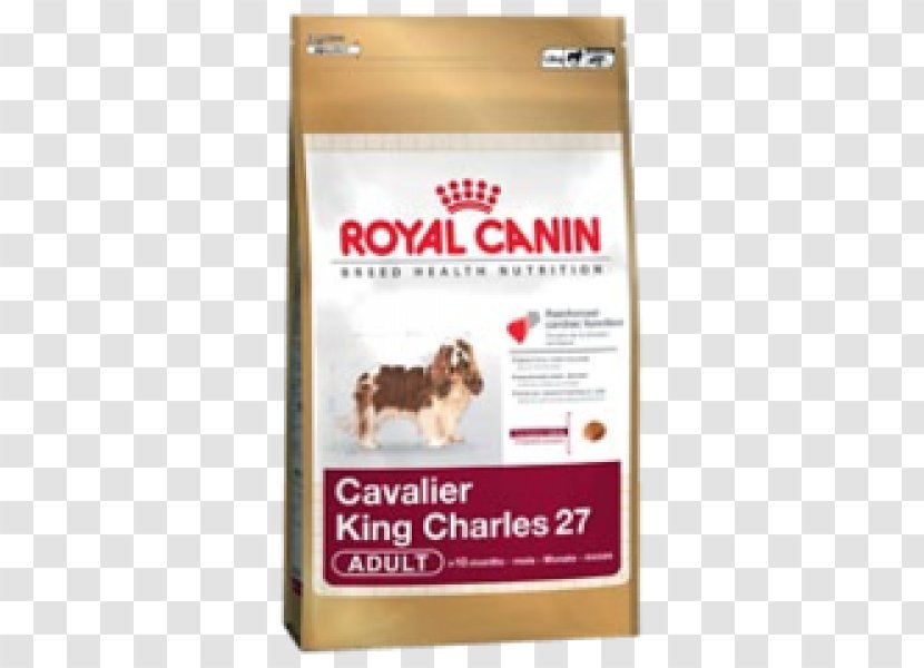 Dachshund Cavalier King Charles Spaniel Bulldog Puppy - Veterinarian Transparent PNG