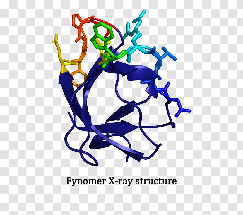 Protein Covagen AG Molecular Binding Small Molecule - Organism - Cysteine Protease Transparent PNG