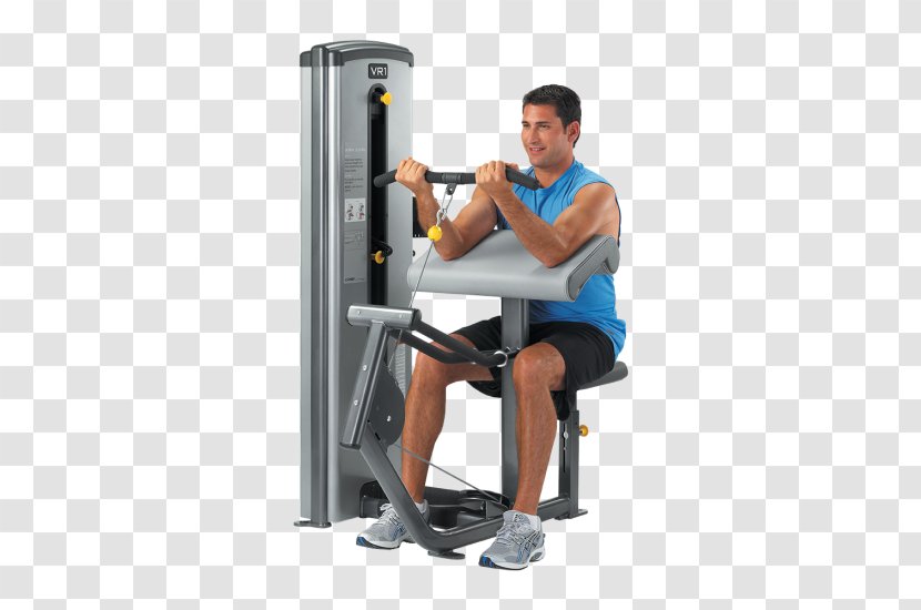 Biceps Curl Shoulder Fitness Centre Exercise Machine Cybex International - Watercolor Transparent PNG