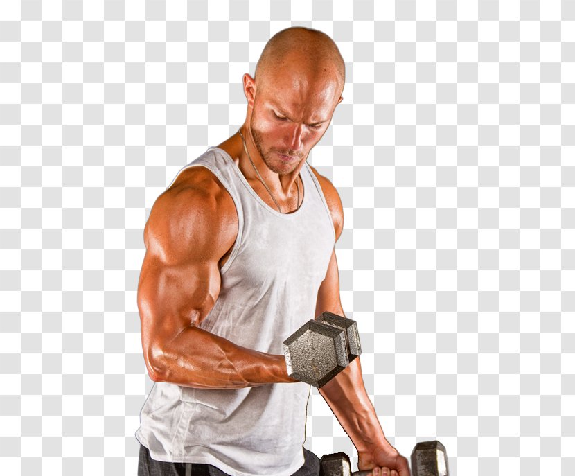 Squat Strength Training Deadlift Shoulder - Tree - Muscle Fitness Transparent PNG