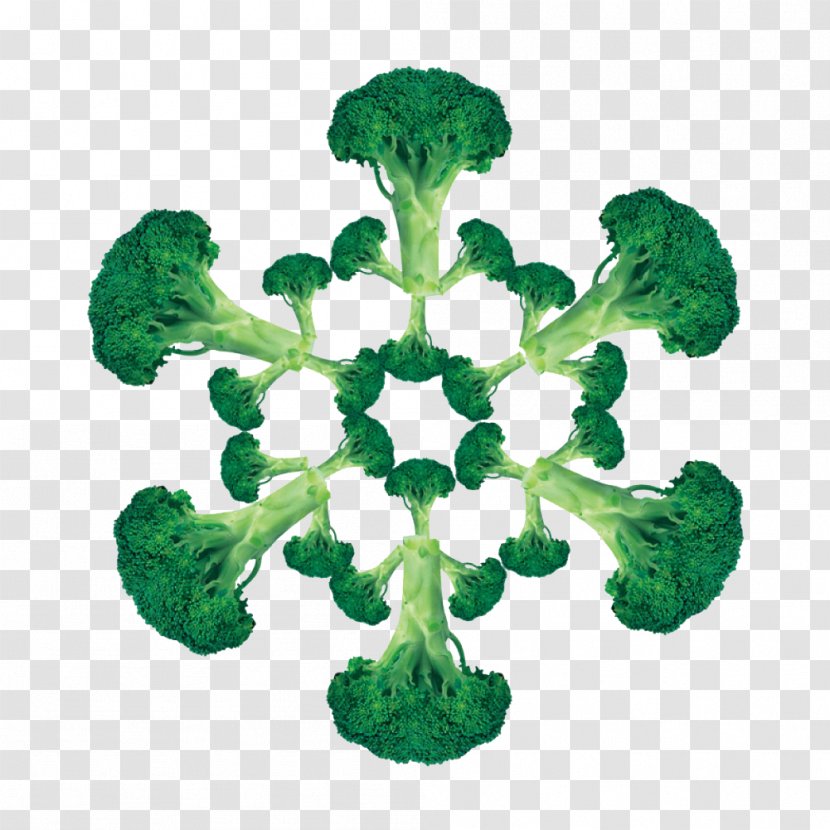 Snowflake Shape - Food - Cauliflower Pattern Transparent PNG