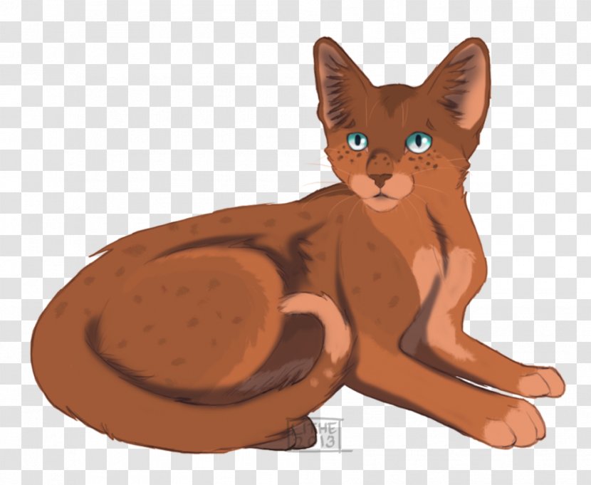 Havana Brown Abyssinian Kitten Whiskers Warriors - Fauna - Freckle Transparent PNG