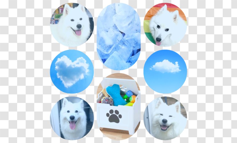 Dog Breed Puppy Canidae Snout - Cloud - Aestheticism Transparent PNG