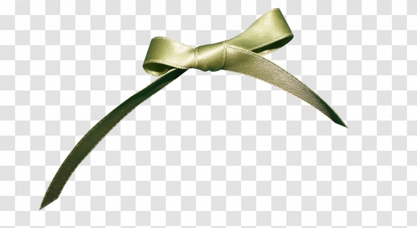 Ribbon Gift Shoelace Knot - Resource - Green Bow Transparent PNG